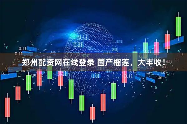 郑州配资网在线登录 国产榴莲，大丰收！